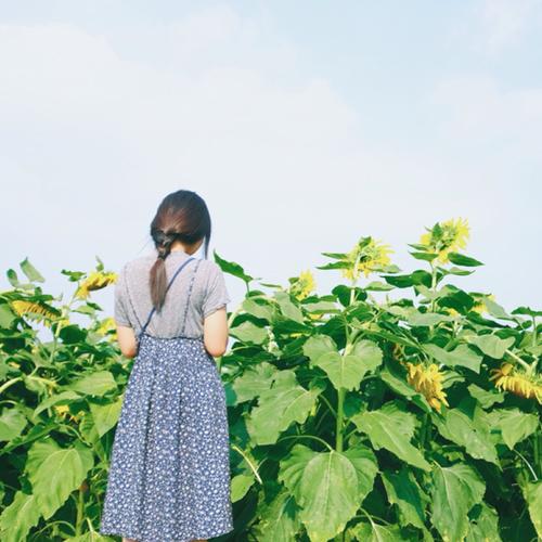 10.学生们欣喜若狂，所有人都欢呼雀跃。