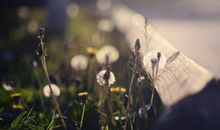 生气的句子心碎狠话