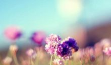 时光流转亲情永存的句子