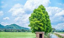 描述幼儿开心的句子