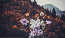 内心孤独的句子