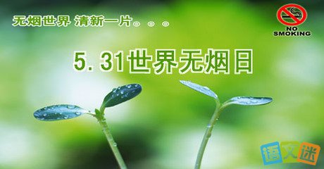 无烟日行情
