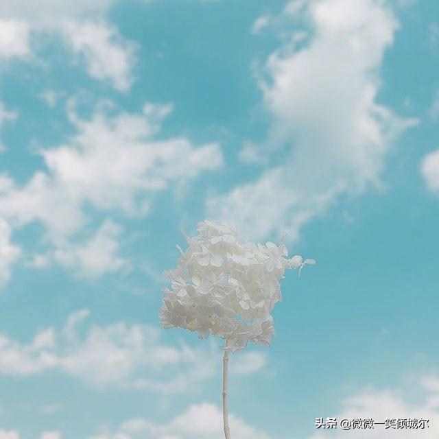 11.新星期一到来，我会给你一个角，不要小看它，一个角= 10：错过了一个点，错过了一个点，附加了一个点，附加了一个点，关心了一个点，一分是温柔的，一分是温柔的，一分是体贴的，一分是关怀的，剩下的一分就是零花钱！