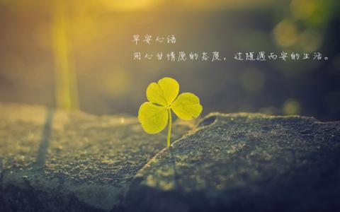 12.蓝色的窗帘，玻璃般的心，对您透明，但容易悲伤。