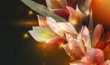 珍惜感恩陪伴亲情的句子