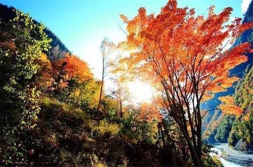 12.曾经有一种真爱在我面前。我没有珍惜它。当我丢失它时，我感到后悔。这是世界上最痛苦的事情。