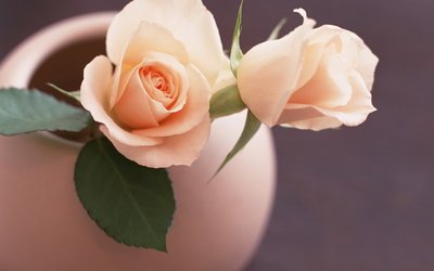 11.真诚的谢谢你，我学会了对你微笑。