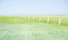 三八节幽默开心的句子