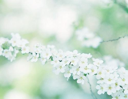 12.看芭蕾舞，我认为主要是从故事的内容，音乐，舞蹈技巧，情节等方面。