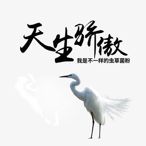 引述骄傲1