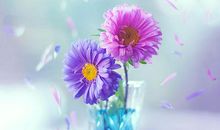 离开你让你不开心的句子