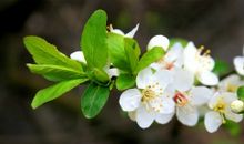 亲情暖我心句子说说心情短语