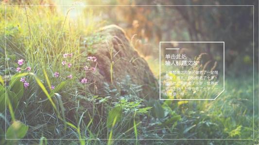11.尖叫是悲伤的，但兴奋是显而易见的。