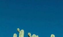 血脉相连的亲情句子