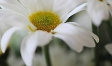 亲情温暖的短句子