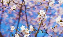 有关亲情的名人名言句子