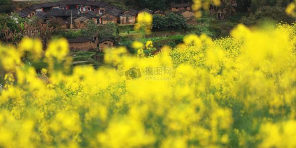 11.如果您想要坚定不移的友谊，则必须首先学会快乐。