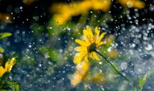 关于见到某人开心的句子