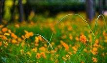 拥抱亲情感恩父母的句子