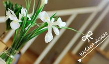 开心做人的句子说说心情