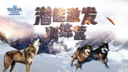 关于潜在发展的名言