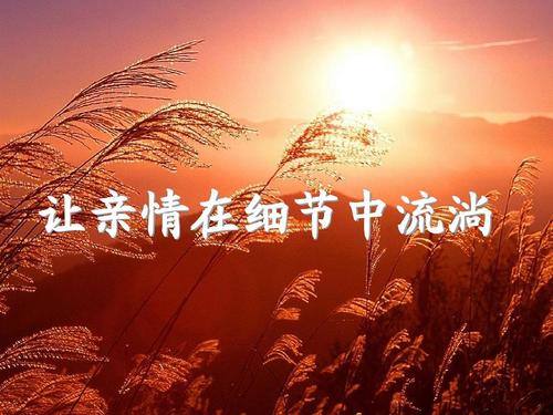 11.并非每个孩子都会爱他的父母。这要求更高的道德修养。