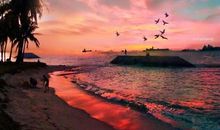 春暖花开亲情的句子