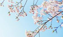 描写亲情的句子及出处