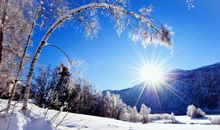 写关于亲情的句子文言文