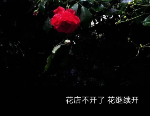 33.在茫茫人海中，不要轻描淡写遇到的每个朋友。会议是命运。