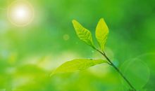 只有孩子开心怎样都行的句子