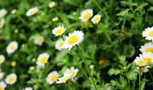 搞笑开心励志的句子