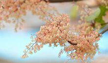 祝你开心幸福的句子