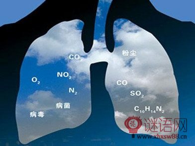 阴霾行情2