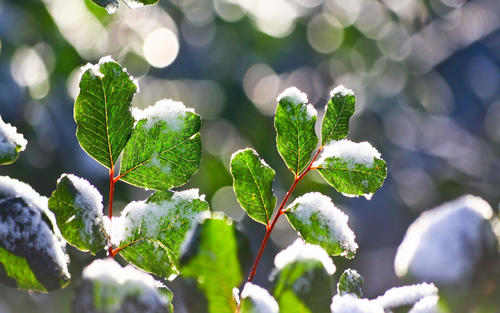 11，亲情是长白山顶上的积雪，简洁却永久。亲情是底格里斯河的流水，温柔而漫长；亲情是西西里的日落，亲情是美索不达米亚平原上的铭文，,但又是永恒的。