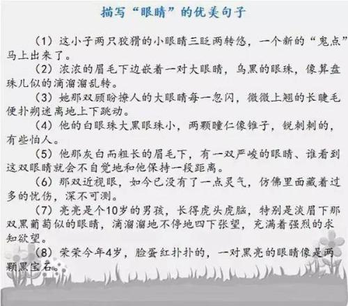 描述我姐姐外貌的句子