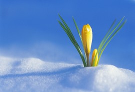 12.每个人都有一种记忆，称为皮肤疼痛。不管这种记忆包含爱情，友情还是家庭情感，它都被封印在我的心底。我想以某种形式发泄它。