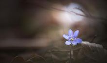 小事体现亲情的句子