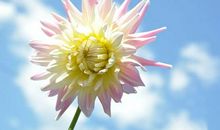 人间最难舍的亲情句子