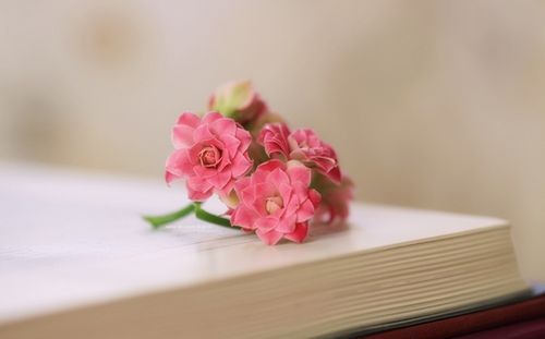 10.从现在开始，你像花和美丽的家庭一样与你在一起，但我只剩下像水一样走来走去。