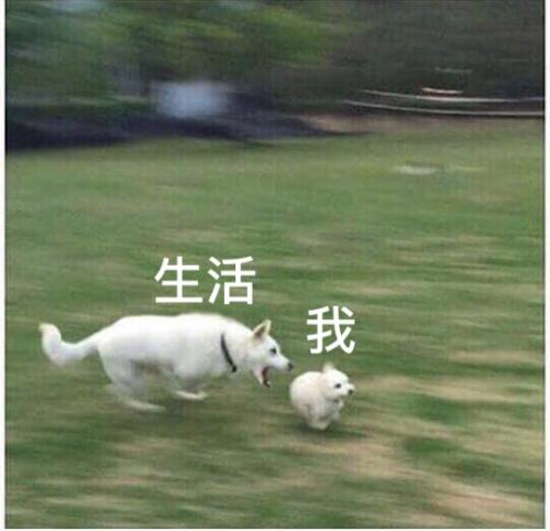 生活不容易的句子2