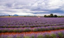 形容亲情的哲理句子