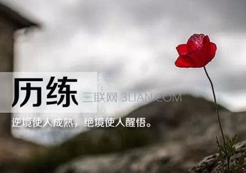 关于生活态度的名言