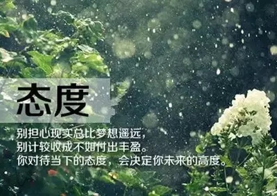 关于生活态度的名言1