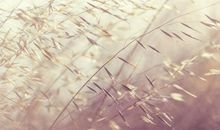 赞扬女朋友让开心的句子