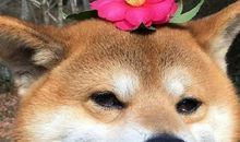 笑一笑开心的句子