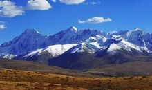 关于低调的句子