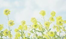 亲情另人心酸的句子