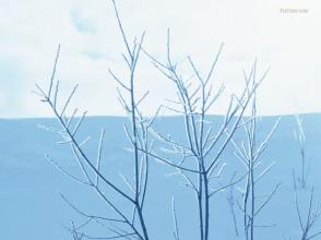12.父亲的爱就像一块糖果，外表坚硬，但内心柔软；