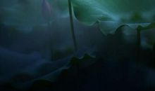 为亲情所感动的句子